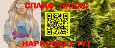 стаф Новокубанск