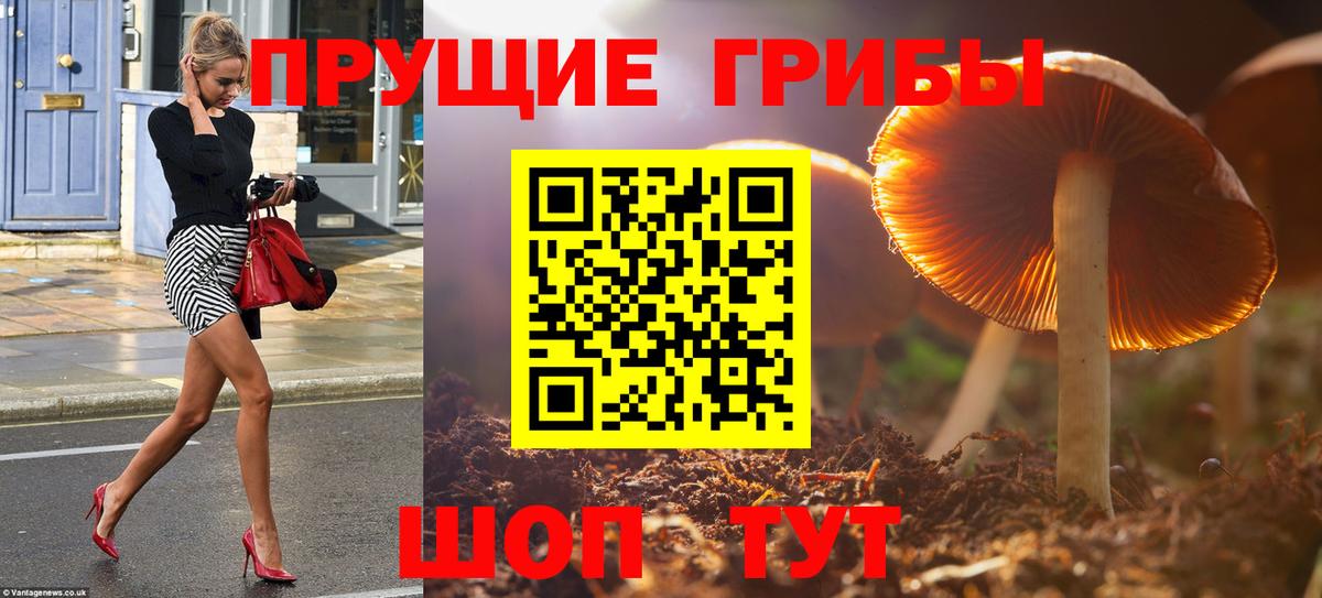 Галлюциногенные грибы мухоморы  Вход с VPN  Псилоцибиновые грибы мухоморы  Сунжа 