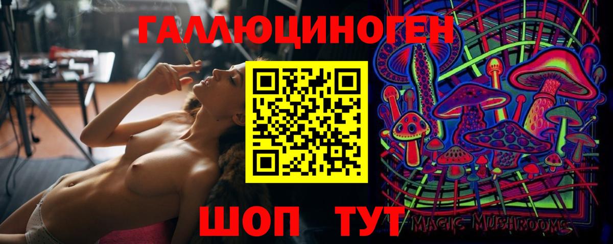 Псилоцибиновые грибы Psilocybe Сунжа