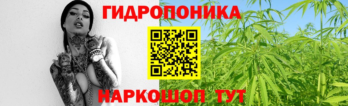 Конопля тримм  МАРИХУАНА Bruce Banner  Сунжа  Конопля конопля  Вход с VPN 