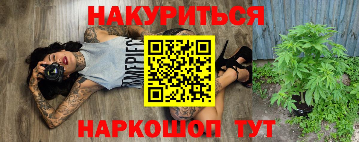 Бошки марихуана ГИДРОПОН Сунжа